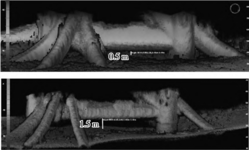 多波束和三维声呐在水下构筑物基础冲刷检测中的综合应用