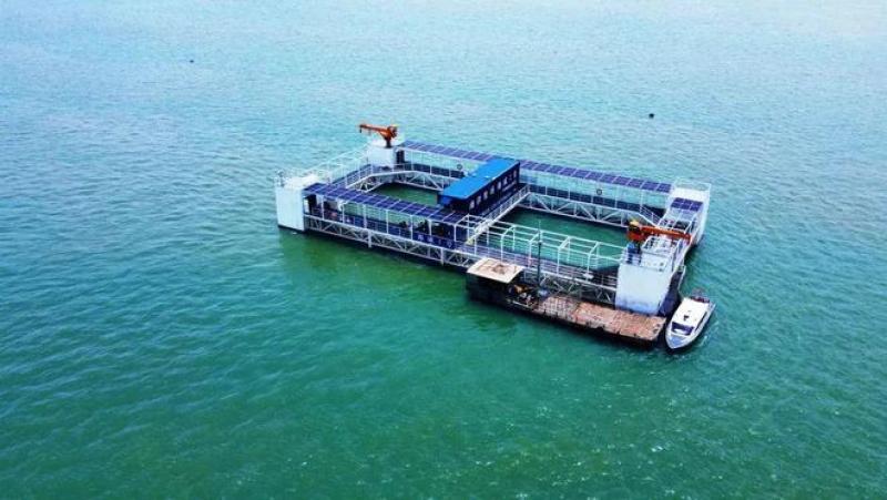 “海威系列”渔业“重器”投产拓开海洋养殖产业高质量发展新路径