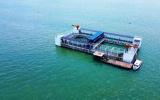 “海威系列”渔业“重器”投产拓开海洋养殖产业高质量发展新路径