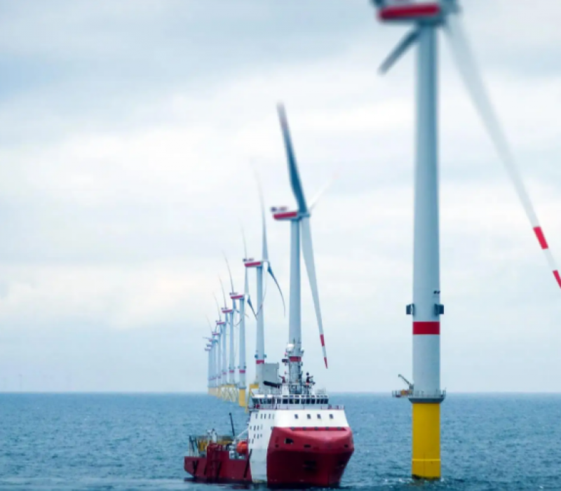 华能海南分公司临高海上风电场项目发布招标公告