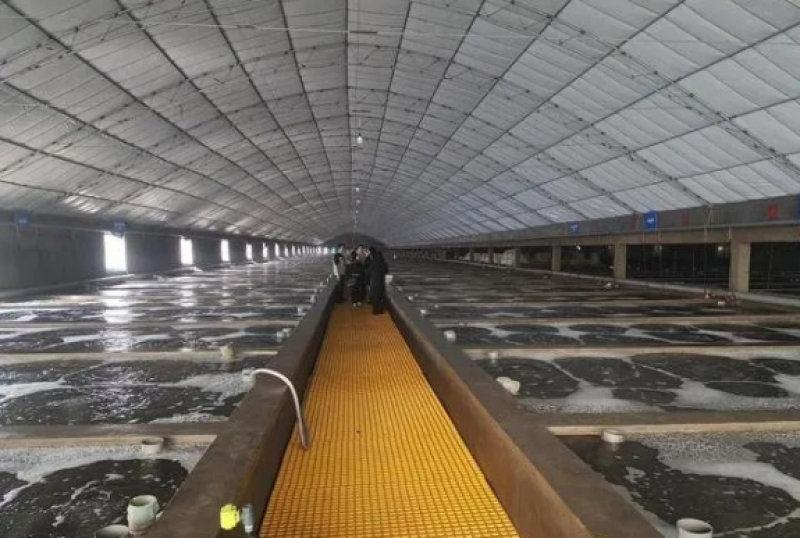 青岛：耕海牧渔走在国内前列