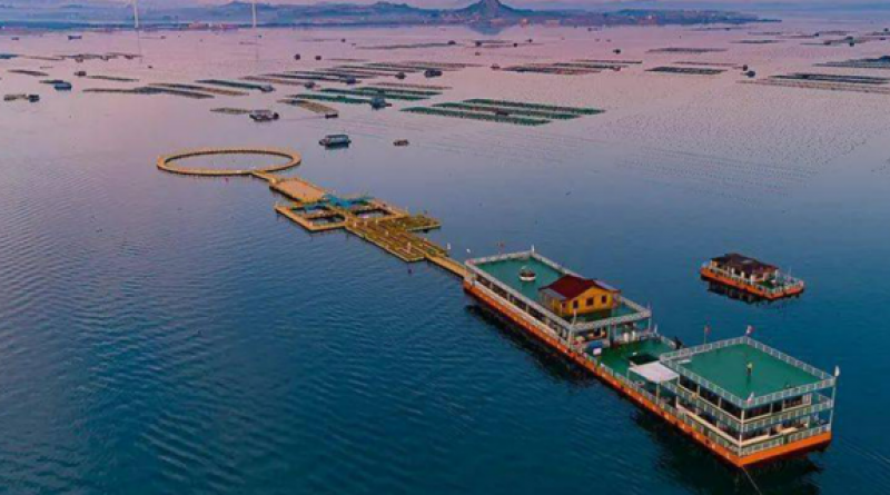 全国深远海养殖工作会议在三亚召开