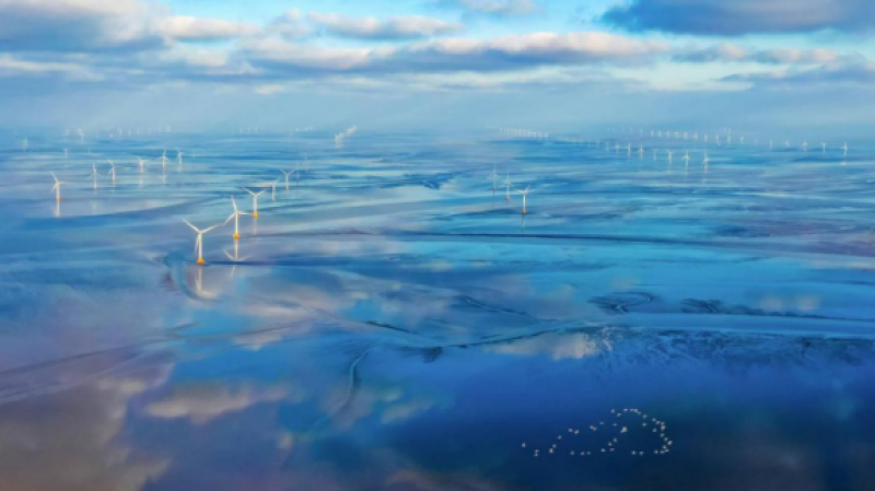 山东省海洋生产总值首次突破1.6万亿元关口！