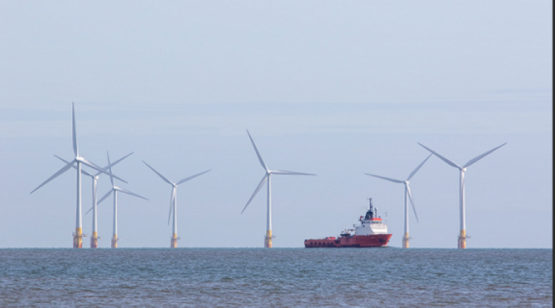 国家海洋技术中心：开展深远海海上风电开发政策机制研究