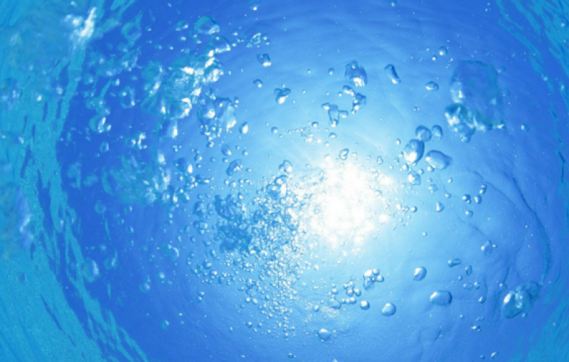 浙江海洋大学副校长徐士元 等：集聚天下英才 建设海洋强省