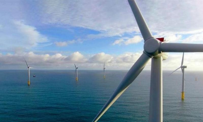 巴西发布该国海上风电规划图的新版本