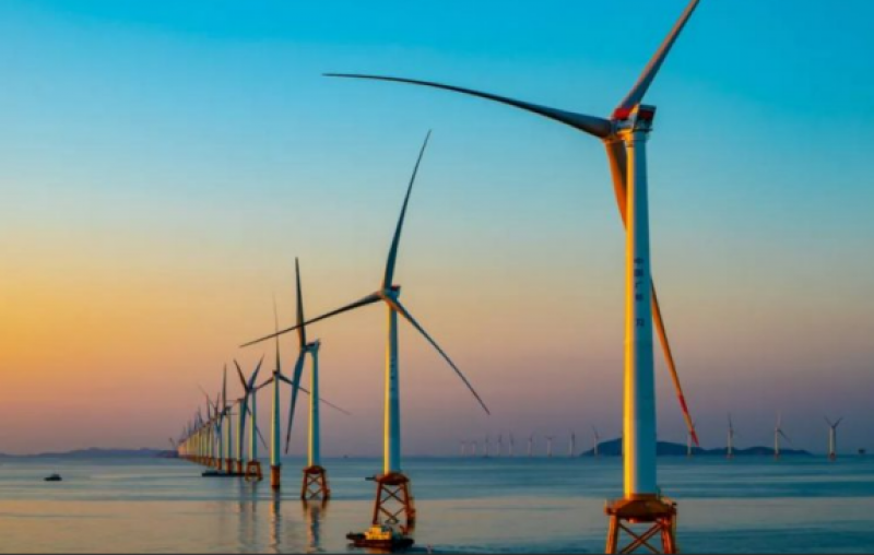 李双成教授：应加大对于海上风电生态环境效应的研究