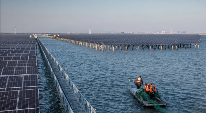 一道新能陈铁军：用水陆两栖式海上光伏系统治理互花米草的底层逻辑研究与设计方案探讨
