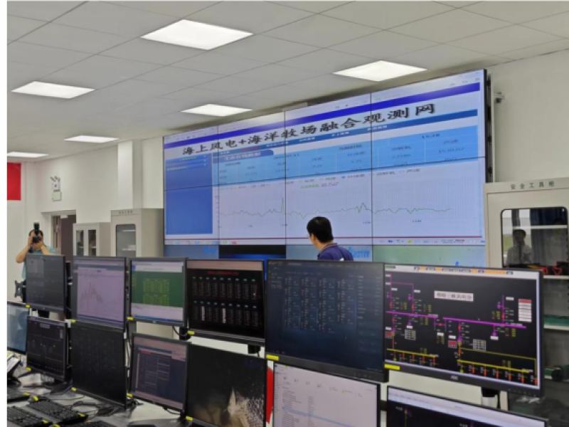 国内首座海上风电生态环境监测观测站挂牌成立