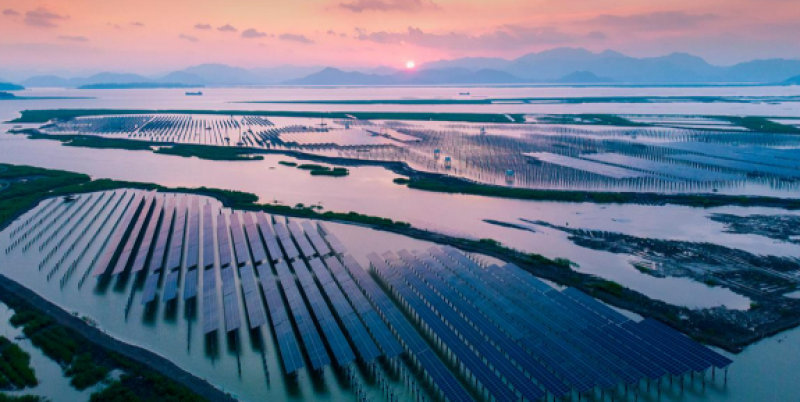 中电建河北院 陈健：潮间带光伏设计与施工关键技术