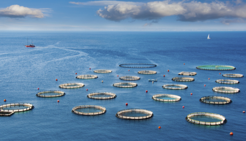 深圳市海洋渔业局关于征集海洋领域产业示范项目的通知