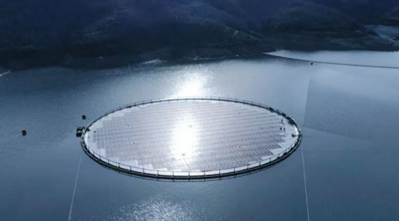 丁驰涛：异质结组件助力海上光伏发展