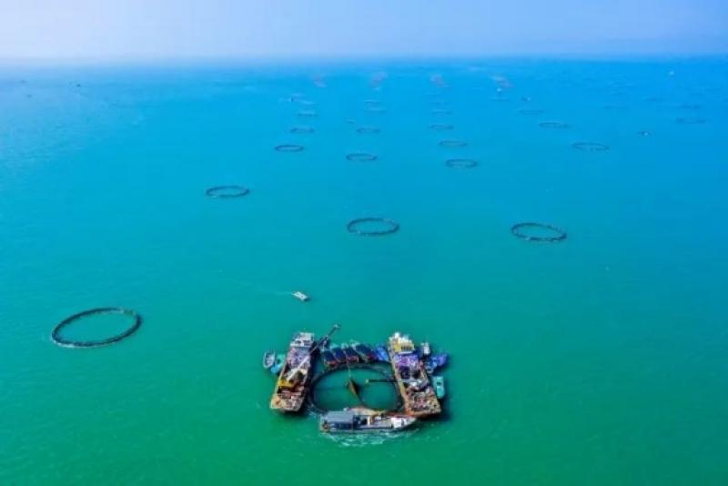 《湛江市现代化海洋牧场建设行动方案（2023—2035年）》印发！
