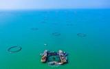 《湛江市现代化海洋牧场建设行动方案（2023—2035年）》印发！