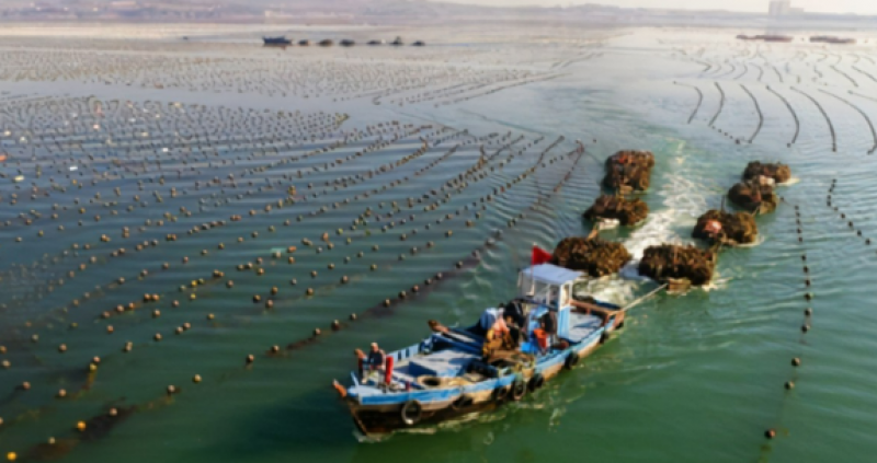 山东滨州：关于推进海域立体分层设权的通知