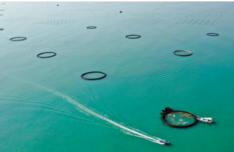 广东优化环评管理促进海洋牧场高质量发展
