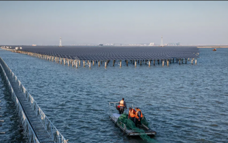 近海光伏实证基地正式落户国家电投山东能源