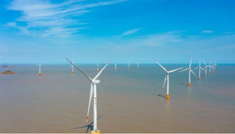 中央企业协同发力深远海风能 