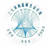 《蓝碳技术路线图》编制工作推进会召开！