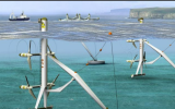国家海洋技术中心海洋能发电装置现场测试与评价成果在海洋工程领域国际TOP期刊发表
