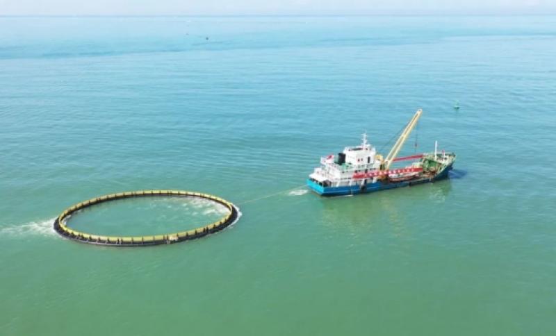 汕尾深远海养殖实现零的突破！三个现代化海洋牧场项目开工建设！
