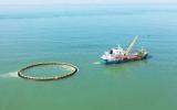 汕尾深远海养殖实现零的突破！三个现代化海洋牧场项目开工建设！