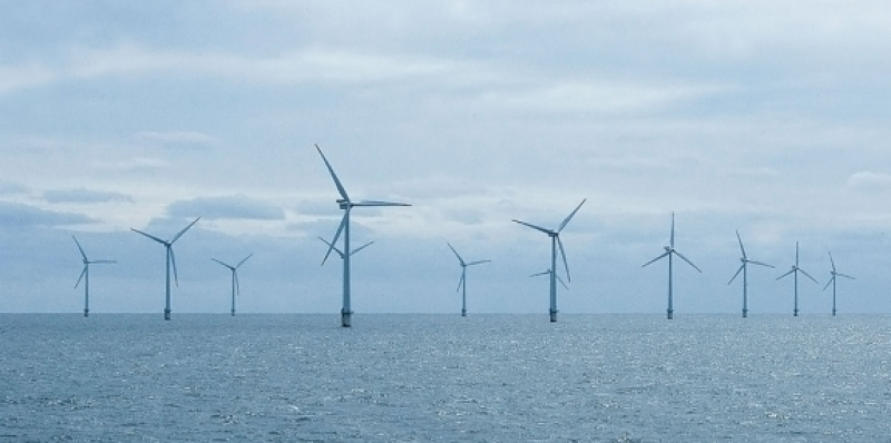  Horns Rev 1 海上风电场满 20 周年