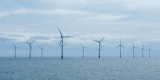 Horns Rev 1 海上风电场满 20 周年
