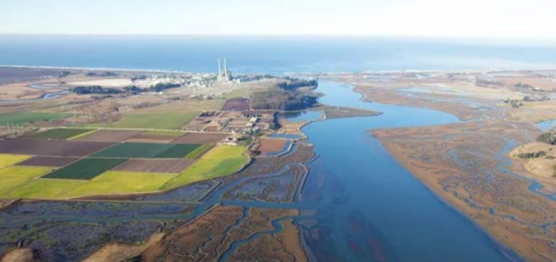 邢庆会等：海岸带蓝碳发展的管理需求