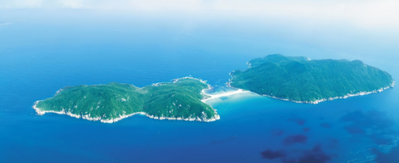 2023滨海生态检察保护法治现代化研讨会召开