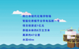 国内首个近海深水区风电运维养殖综合平台“华电泓胜一号”正式开工建设