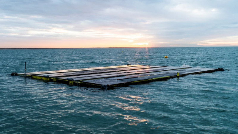 DNV批准北海条件下的海上光伏设计方案