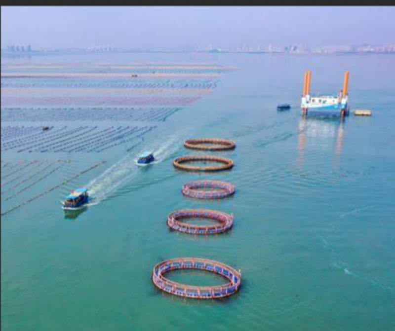 山东省智慧海洋牧场重点实验室（筹）2023年度开放基金课题申请指南