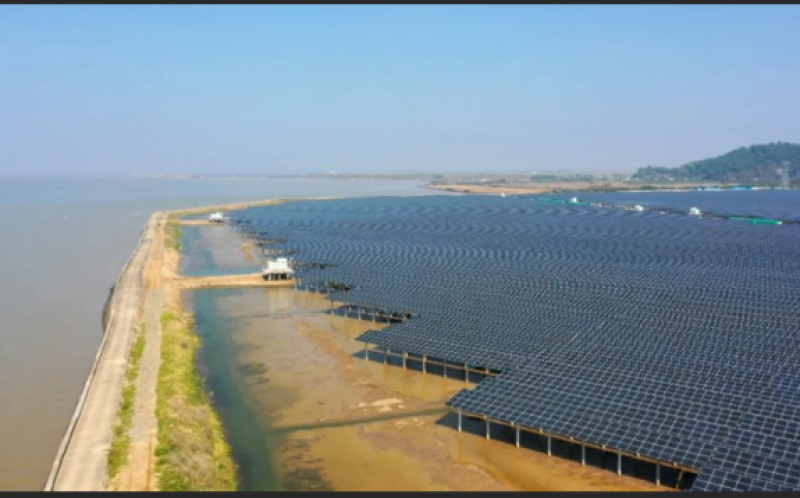 山东招远：加强海上光伏产业配套水平