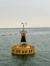 “海葵”海洋立体观测系统在山东荣成海域成功布放