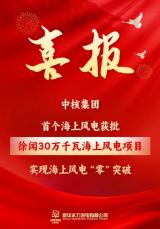 中核集团首个海上风电项目获批，实现海上风电“零”突破！