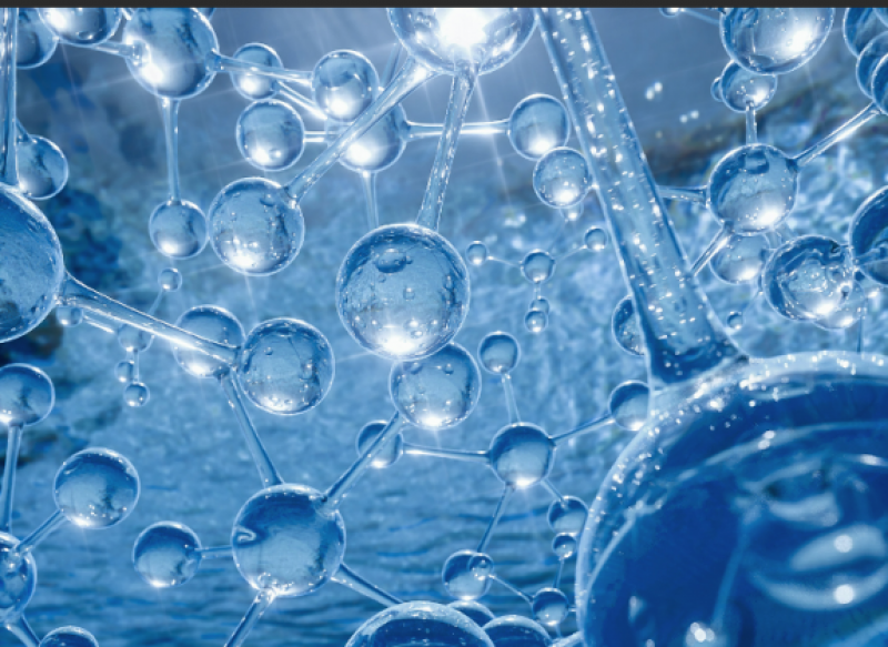 《2022年南海区海洋经济运行监测评估报告》发布