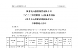 国家电投16GW海上风电框采项目开标，8家整机商预中标！