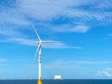 三峡能源江苏大丰800MW海上风电项目设计施工项目中标候选人公示