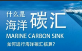 我国应将海洋碳汇议题纳入“一带一路”建设之中！海洋碳汇交易存在的问题及健全完善我国海洋碳汇政策法规体系的建议