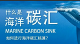 我国应将海洋碳汇议题纳入“一带一路”建设之中！海洋碳汇交易存在的问题及健全完善我国海洋碳汇政策法规体系的建议