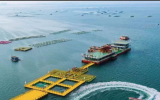 广东：加快现代化海上牧场建设步伐，助力推动大湾区农渔业协同高质量发展