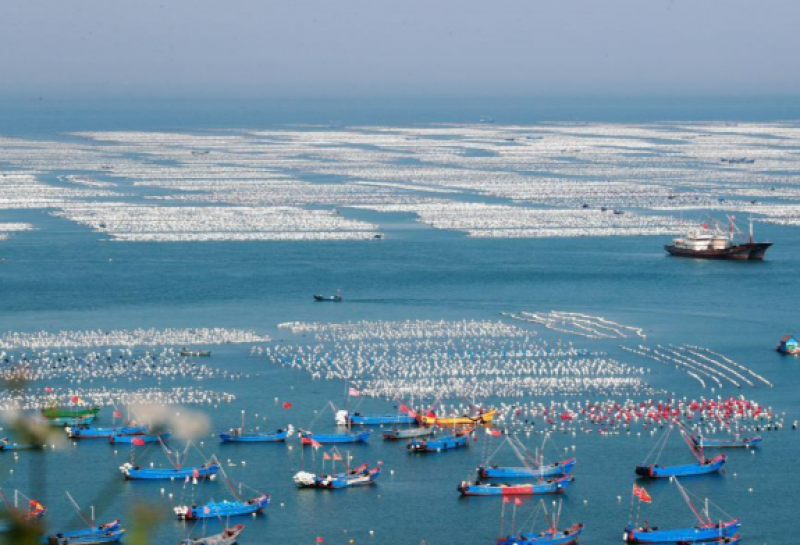 椒江举行大陈岛“海洋蓝碳”交易新闻发布会