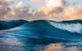 “绿会”就“海上可再生能源贯彻可持续海洋原则”提交3点建议