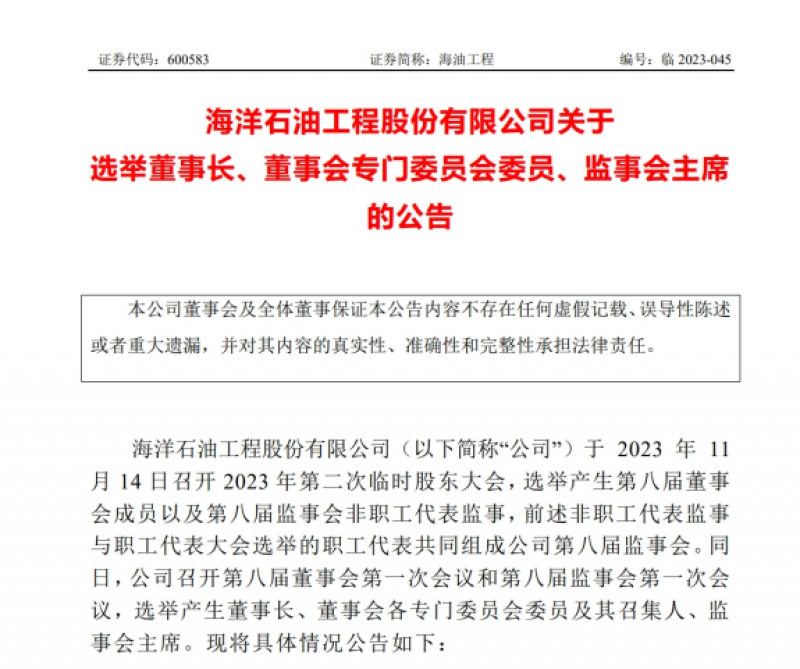 海油工程公司关于选举董事长、董事会专门委员会委员、监事会主席的公告