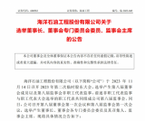 海油工程公司关于选举董事长、董事会专门委员会委员、监事会主席的公告