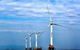 三峡能源江苏运维公司2024-2025年度运维船舶租赁招标公告