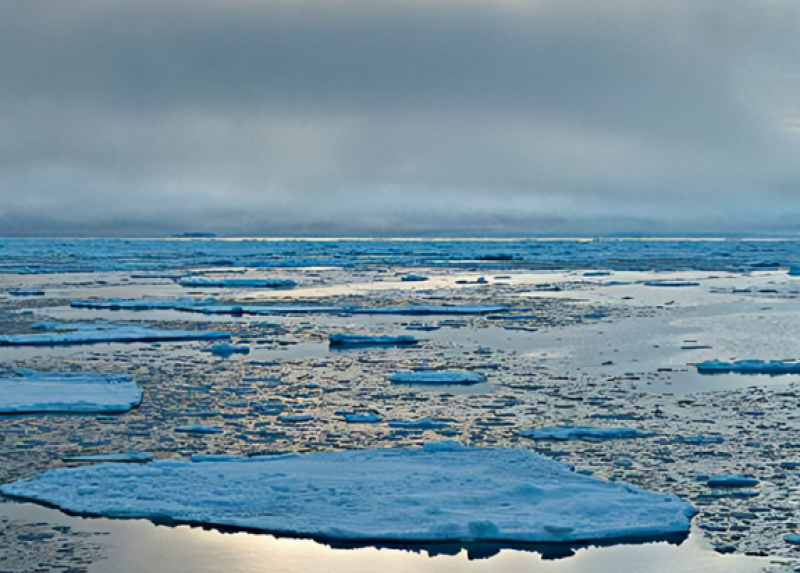 自然资源部南海局分党组书记、局长雷波：汇聚南海区海洋力量 推动绿色低碳发展