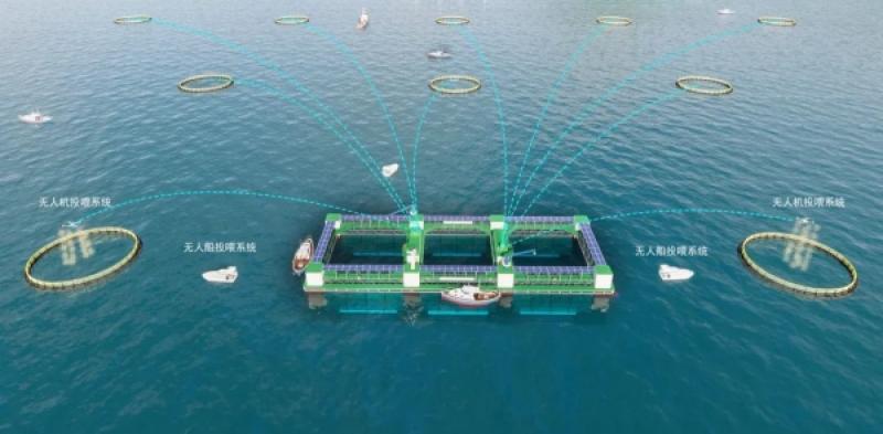 “格盛1号”深远海养殖平台正式开工建造
