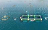 “格盛1号”深远海养殖平台正式开工建造